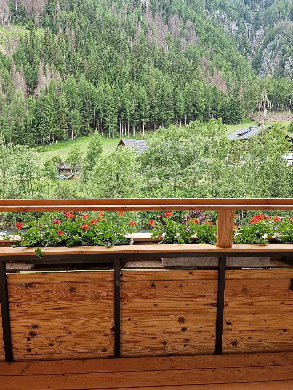 20240617_141123-OPTI Zimmer Kamille Hotel Kaerntnerhof Heiligenblut